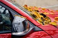 red car with leaves on hood in fall