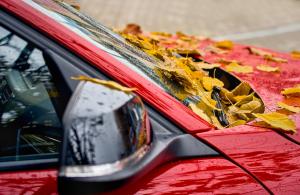 red car with leaves on hood in fall