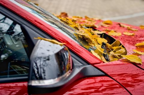 red car with leaves on hood in fall